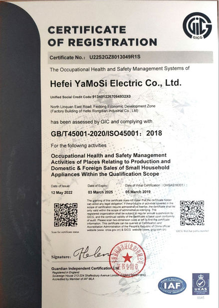 Çin Hefei Amos Electric Co., Ltd. Sertifikalar